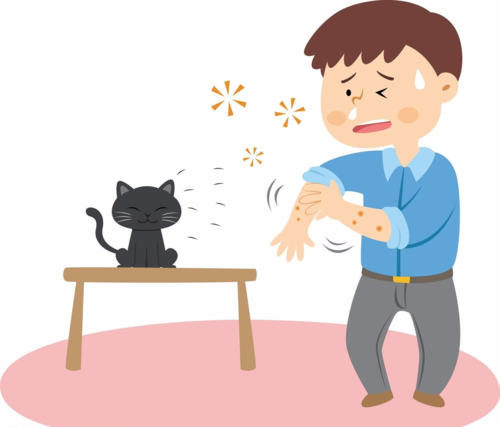 湿疹在临床上的病程都有哪些阶段以及表现呢?